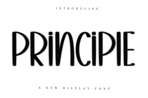 Principle: The Elegant Display Font for Creative Projects
